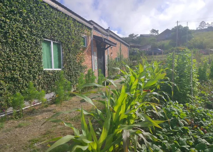 Komowanan Homestay Kundasang
